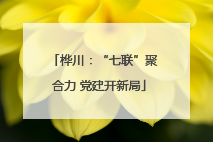 桦川：“七联”聚合力 党建开新局